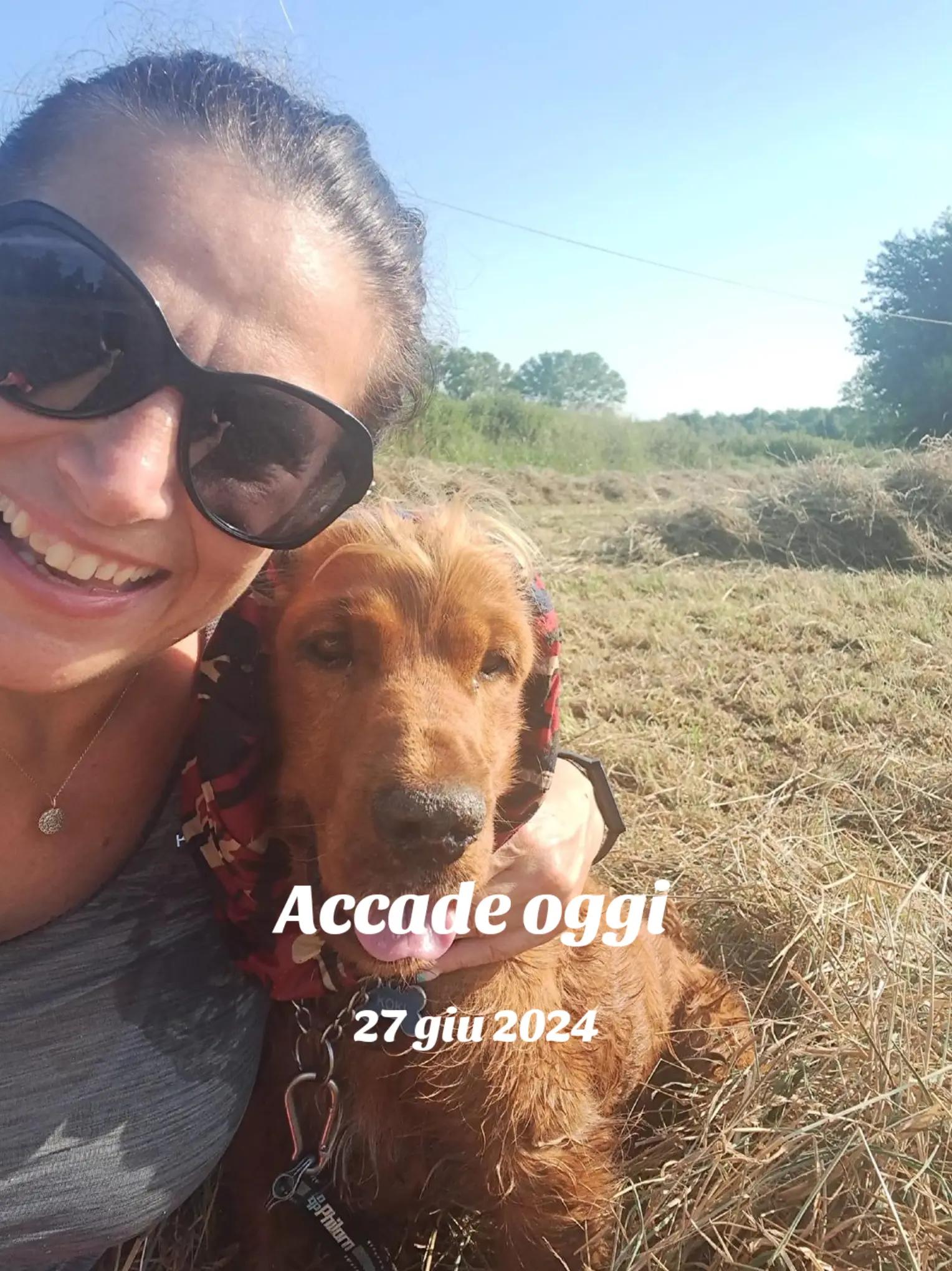 @ago 75