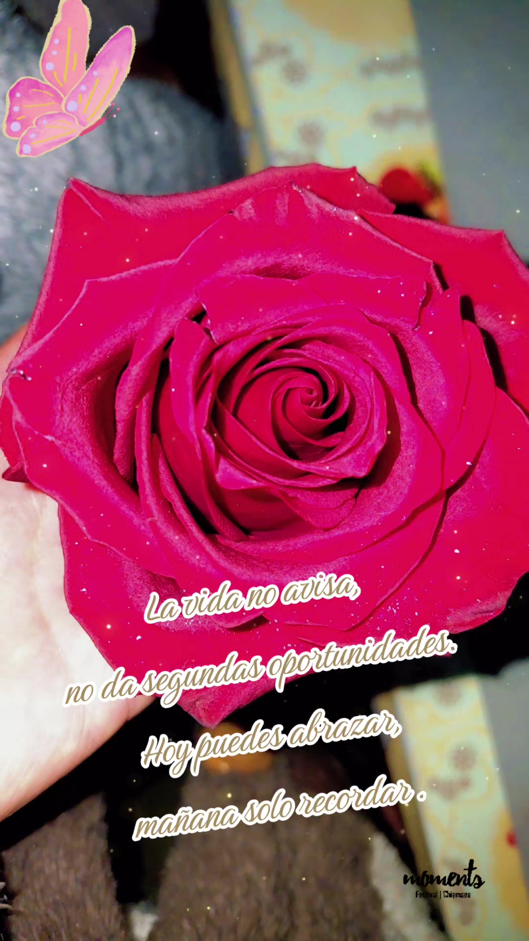 @✿Elyʚ&iuml;ɞ✿