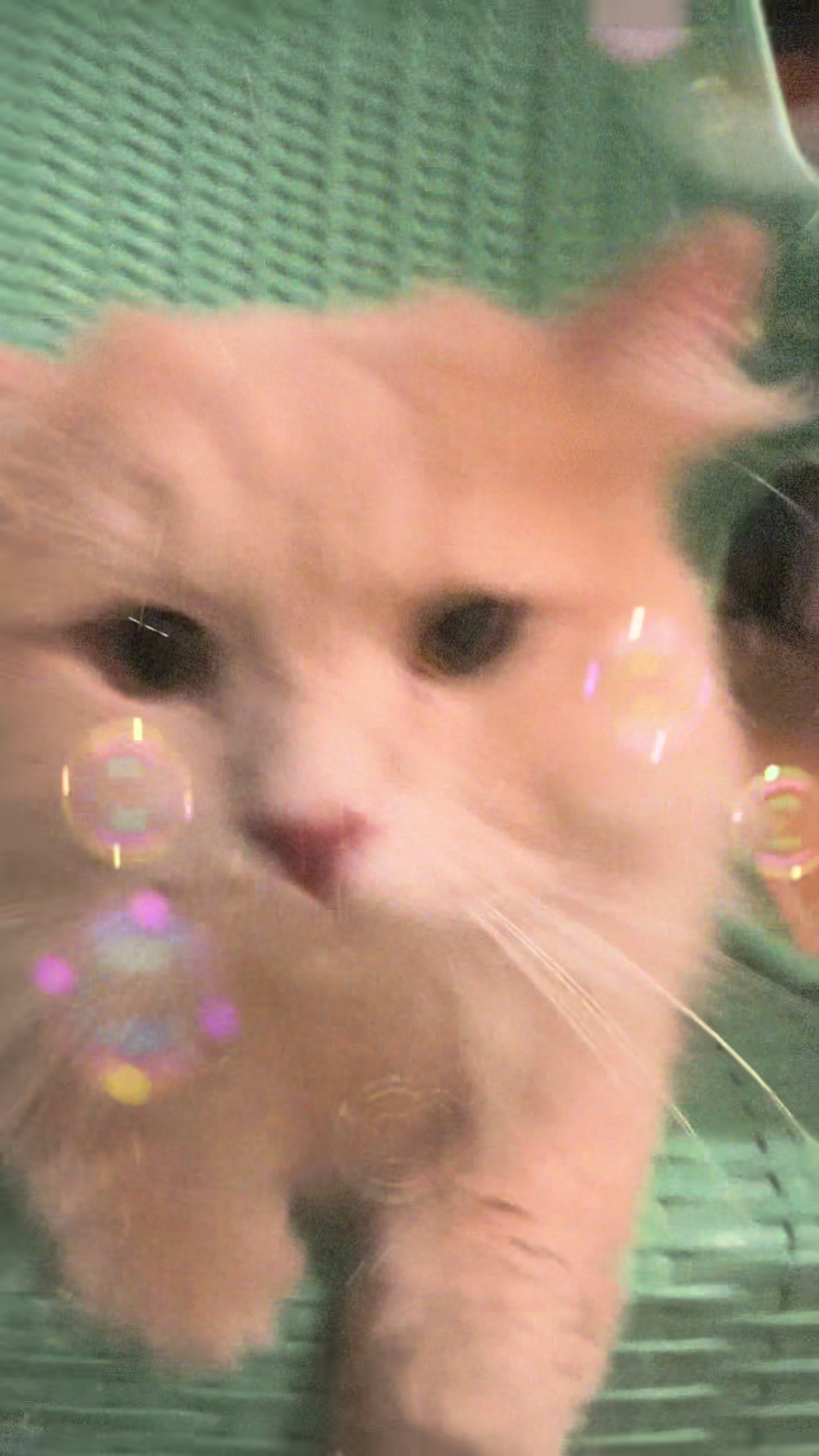 @coco