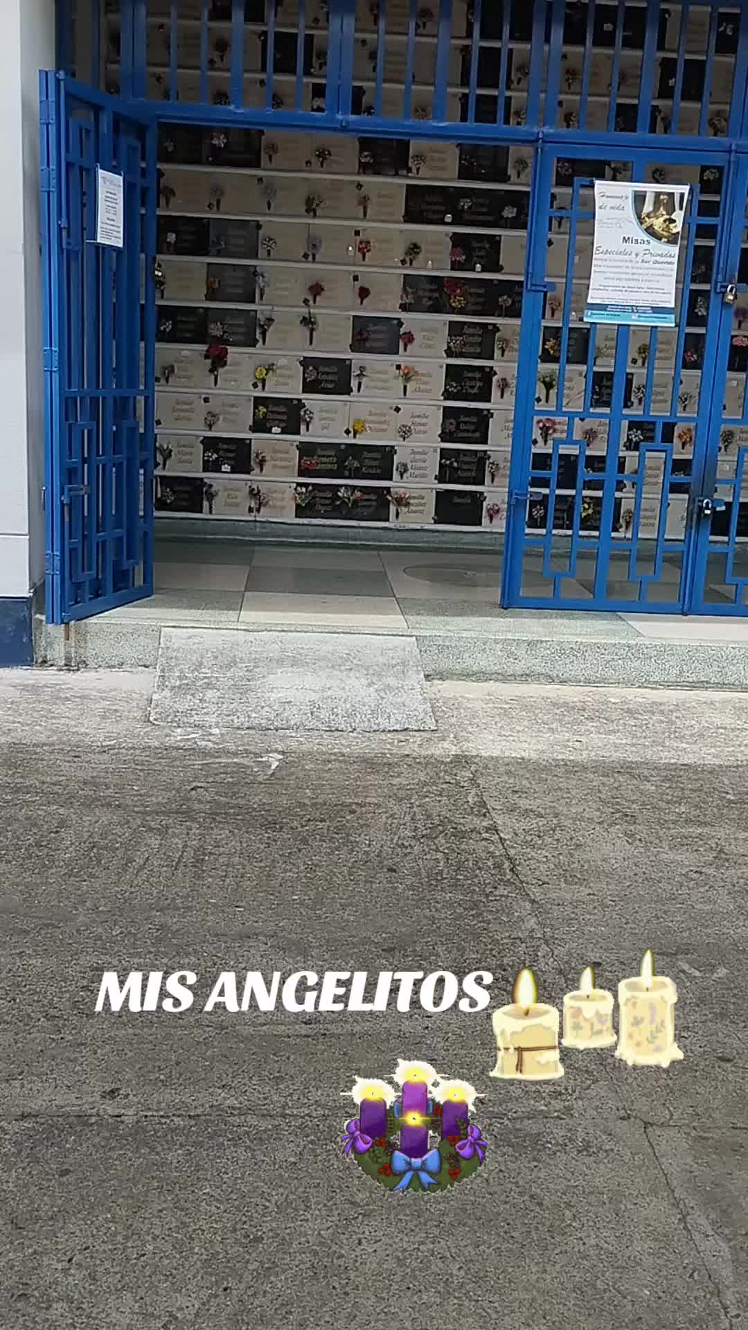 @ALEJA 🤸🍃🌻❤️🌻