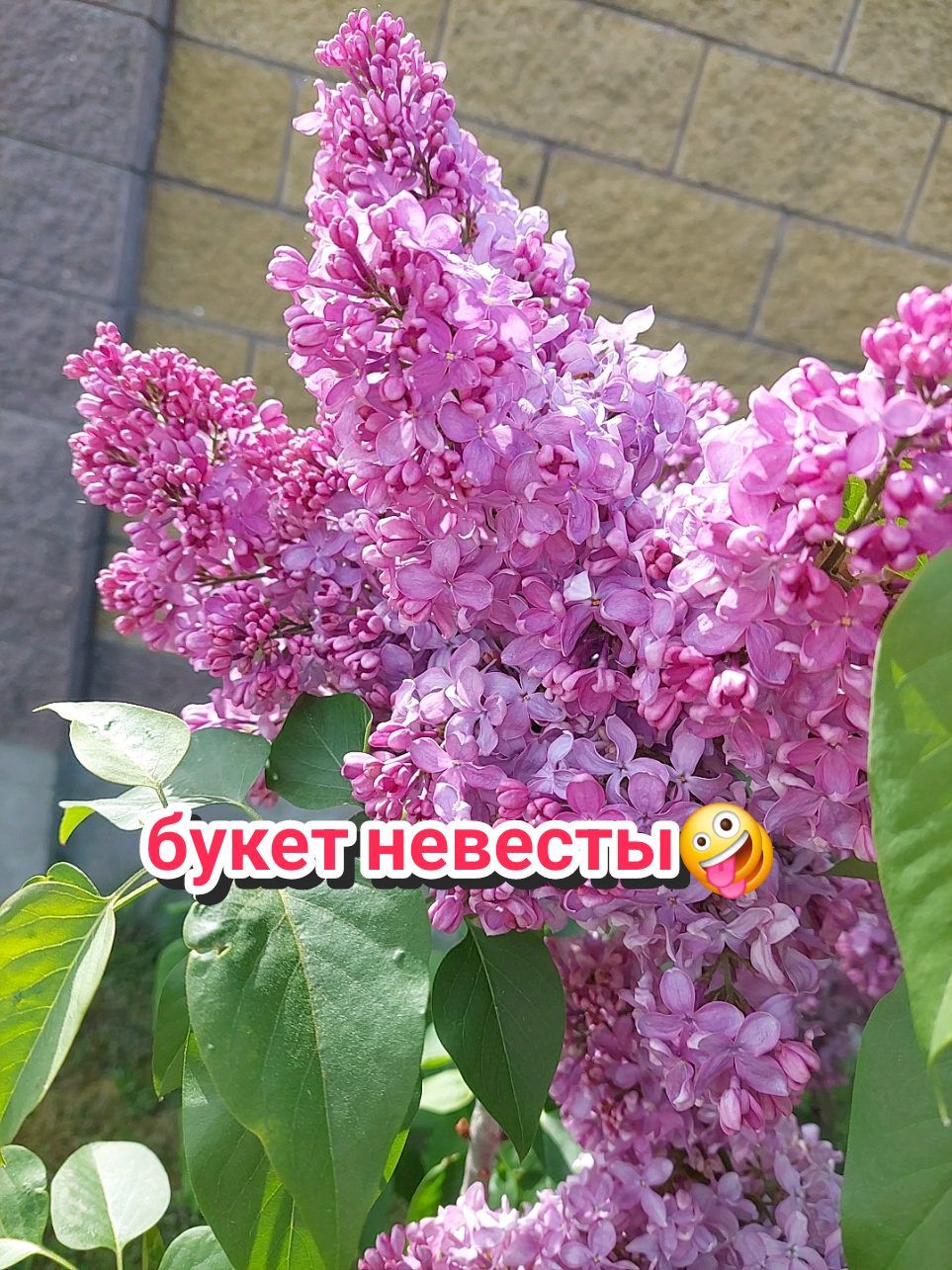 @Рыся✔️🇧🇾