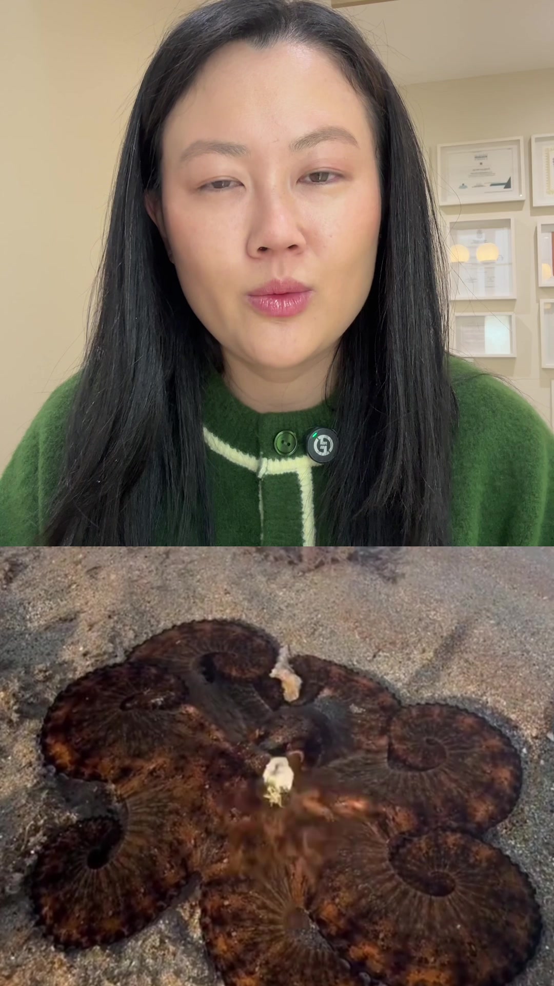 @Evelyn Liu