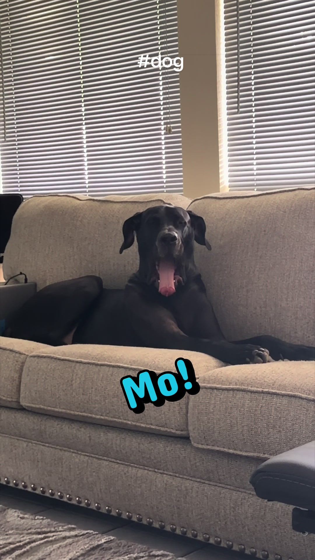 @Mo