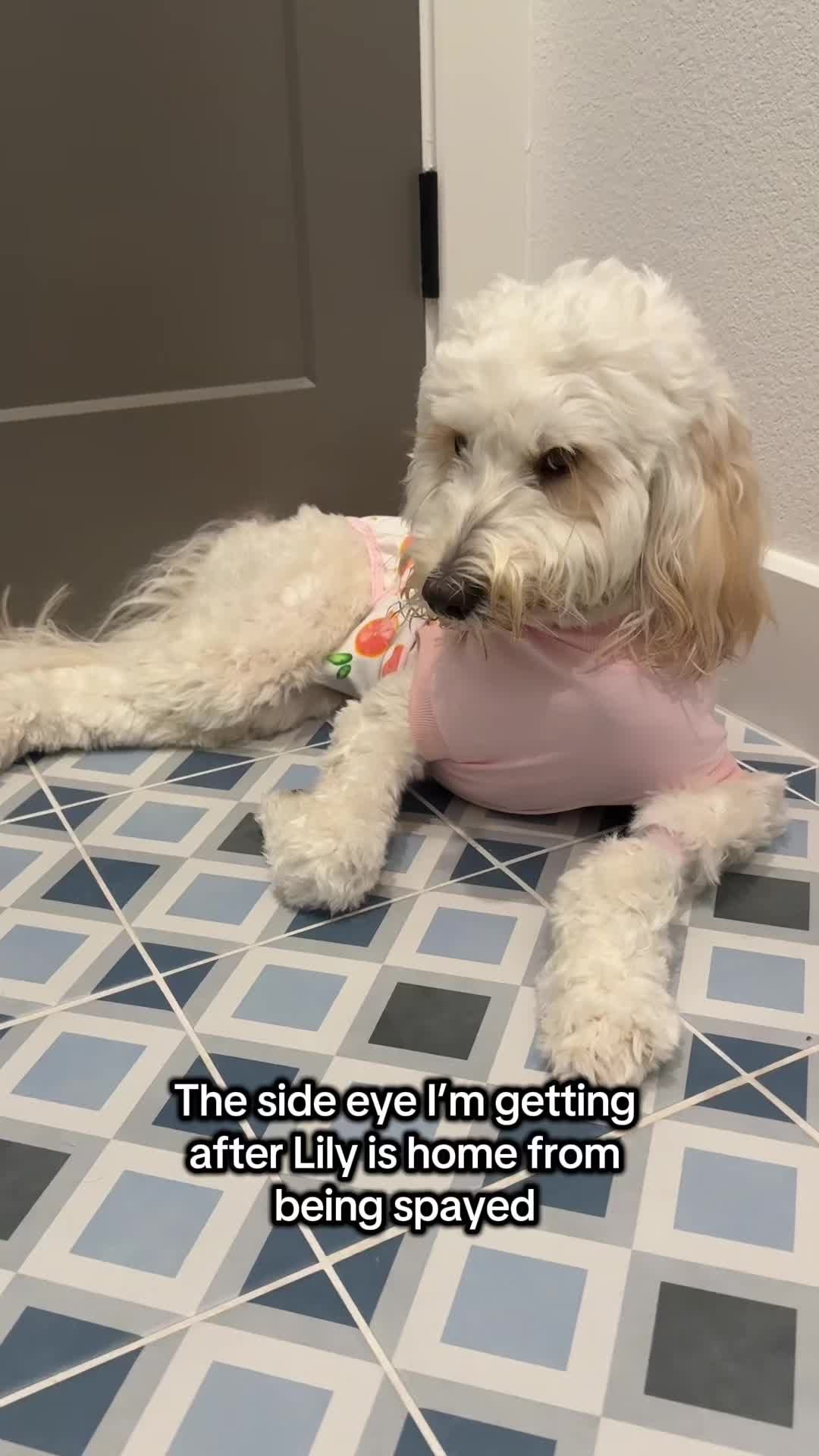 @Lily and Mom