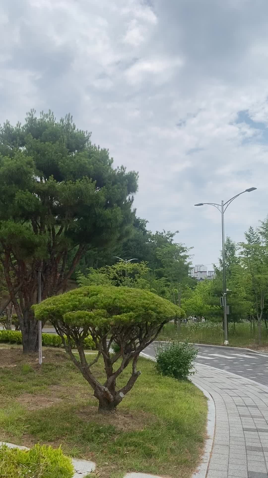 @화님