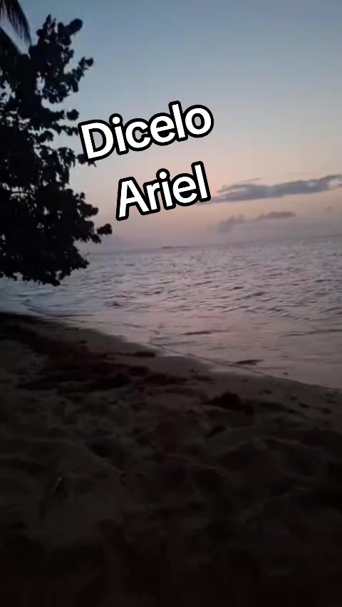 @Tony El Indomable