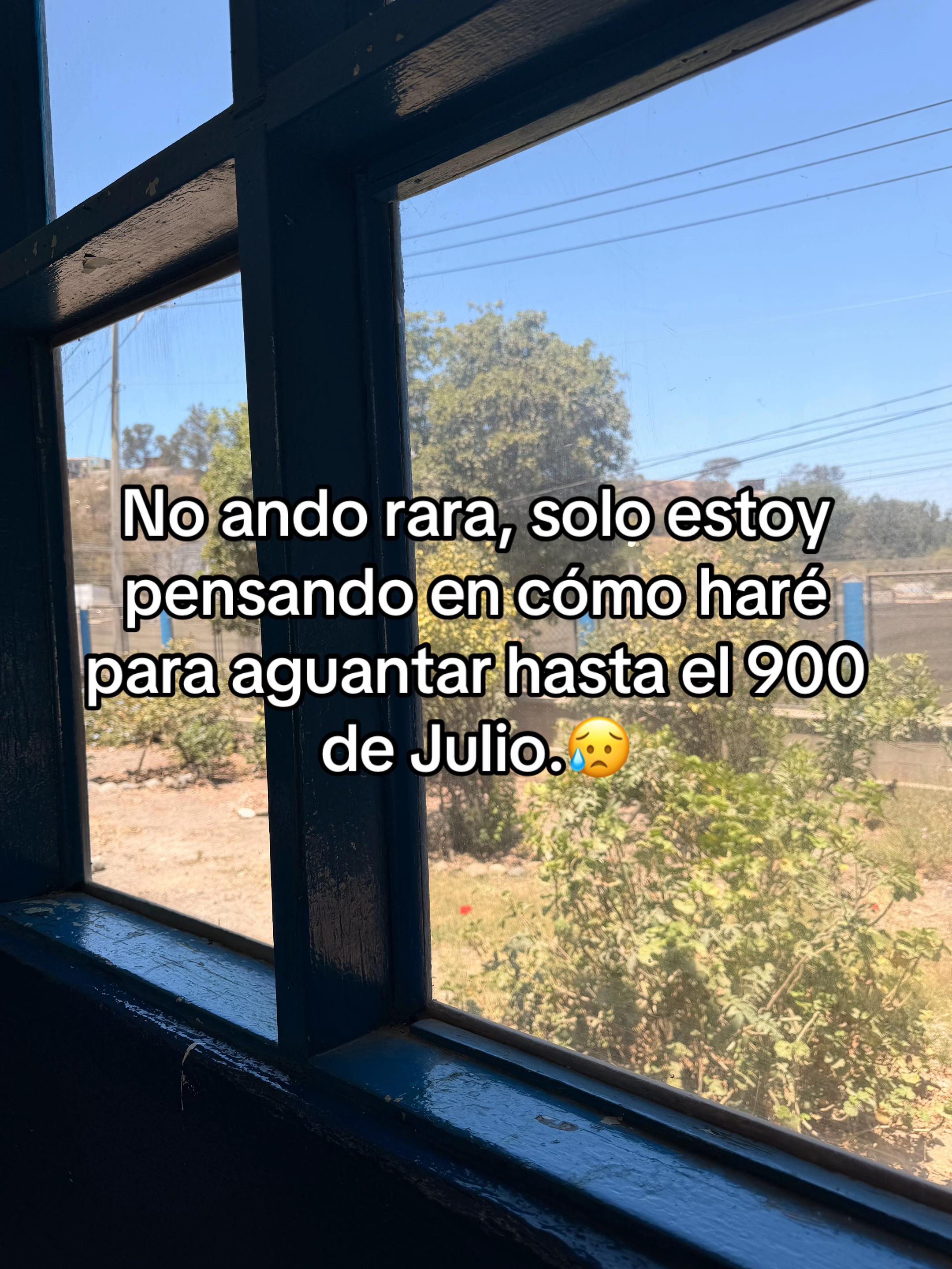 @Zaida👩&zwj;🏫🌷