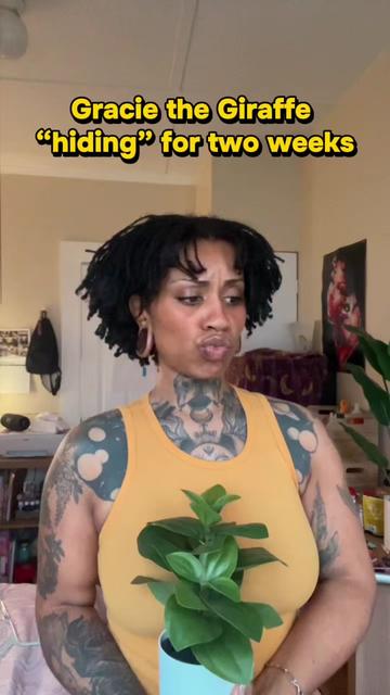 @LeftFootRabbit