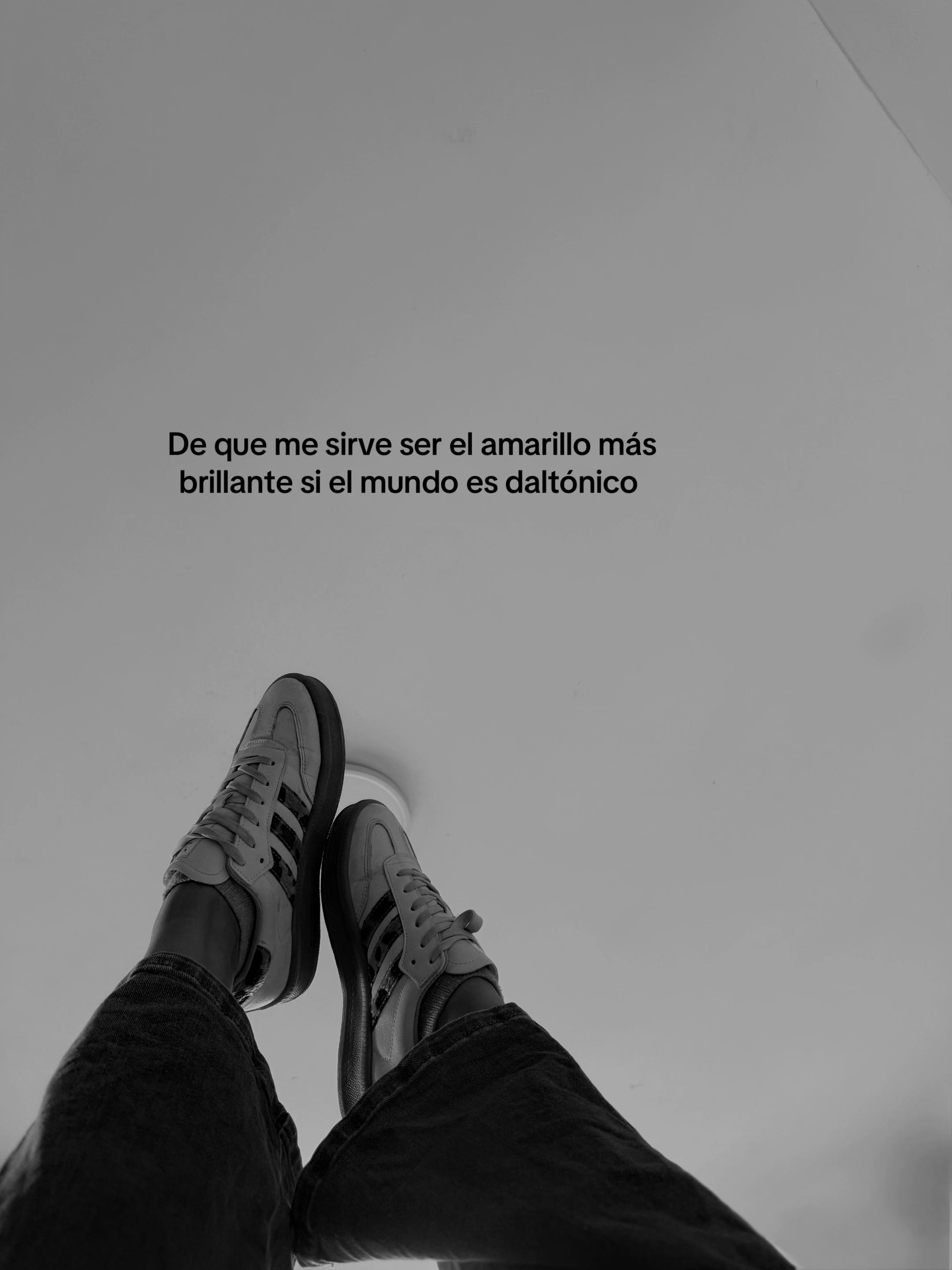 @Domi🤍