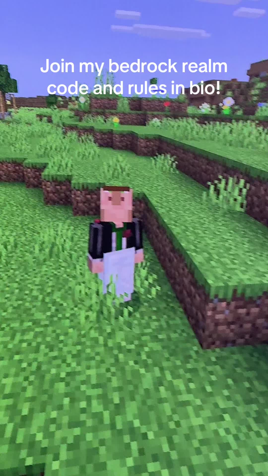@VillagerSMP