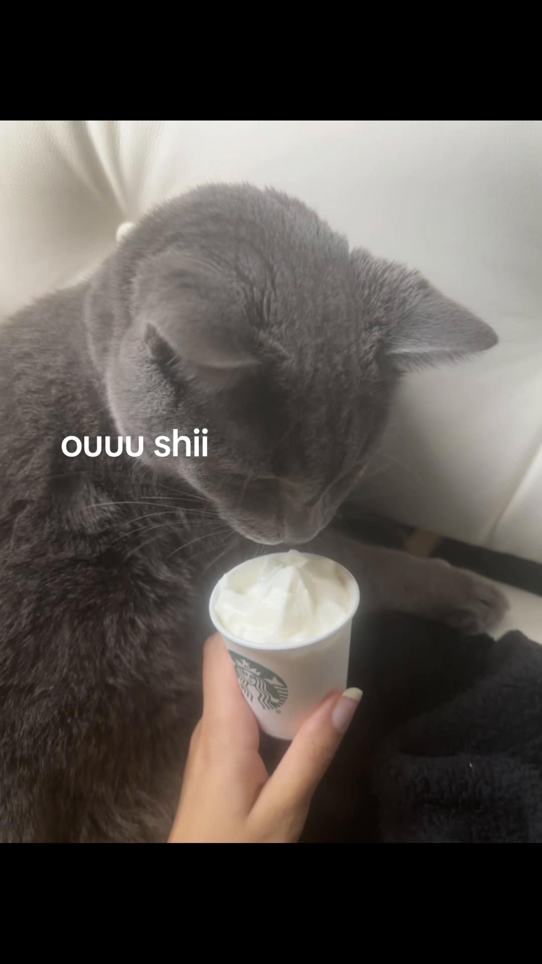 @Myah