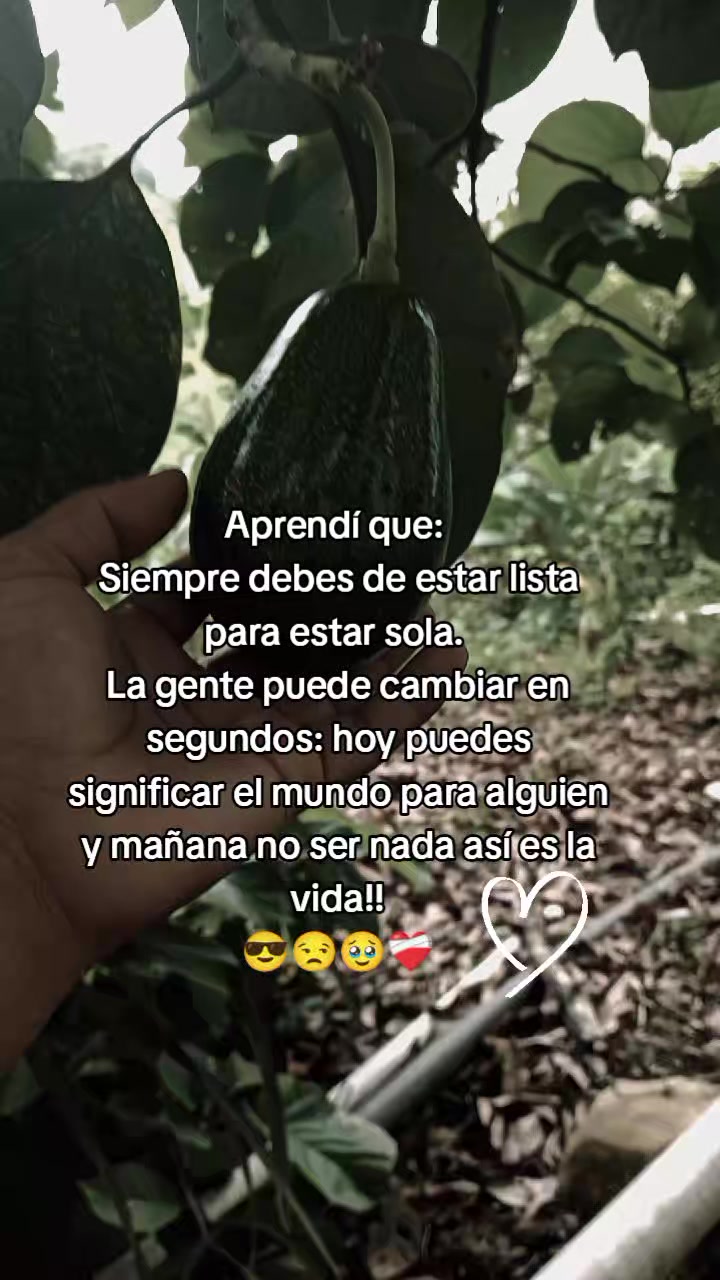 @Maya Ortiz