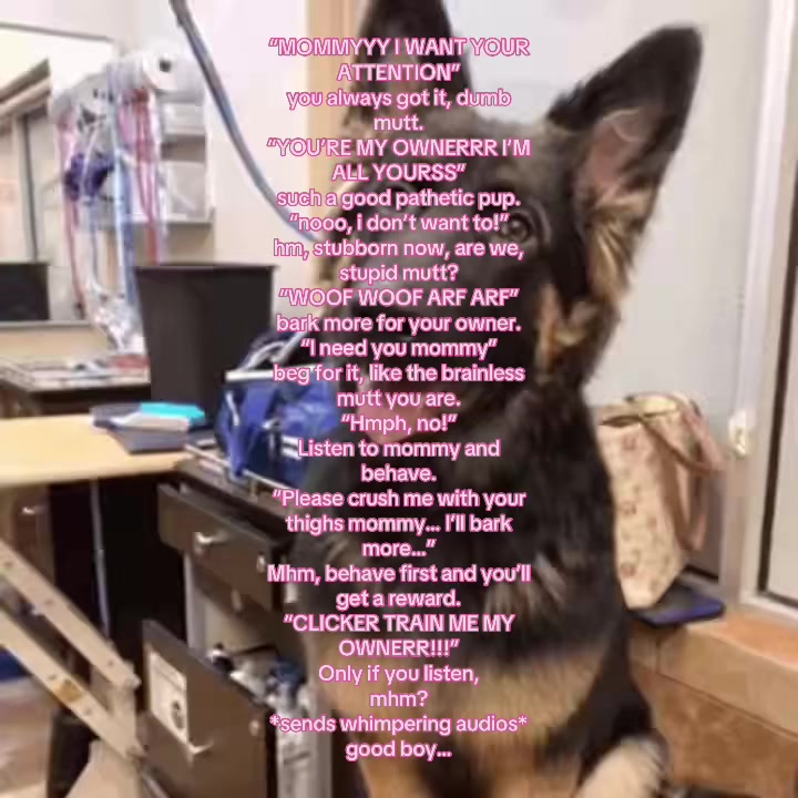 @🙌🏻🐾
