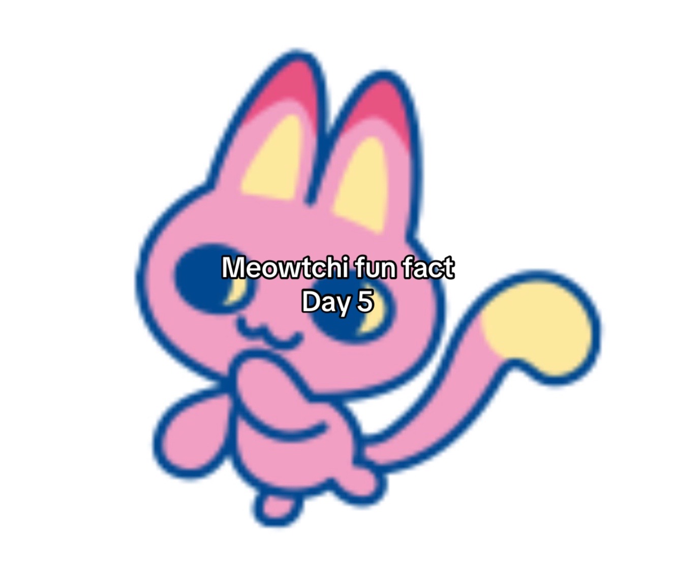 @Meow 🪬🪽