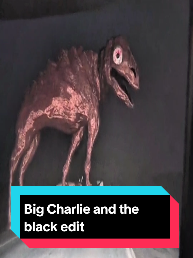 @𝖑𝖊𝖔𝖘𝖕𝖊𝖊𝖉☠️🔥