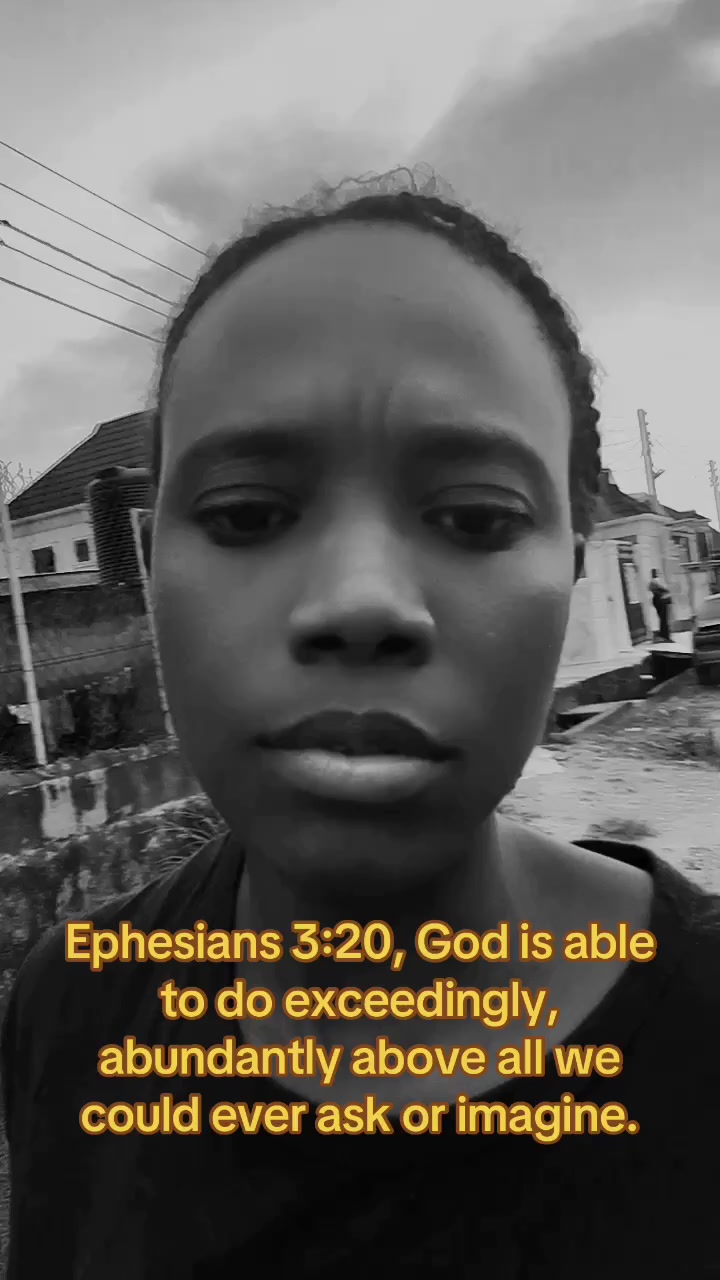 @Kingdom Shepherd