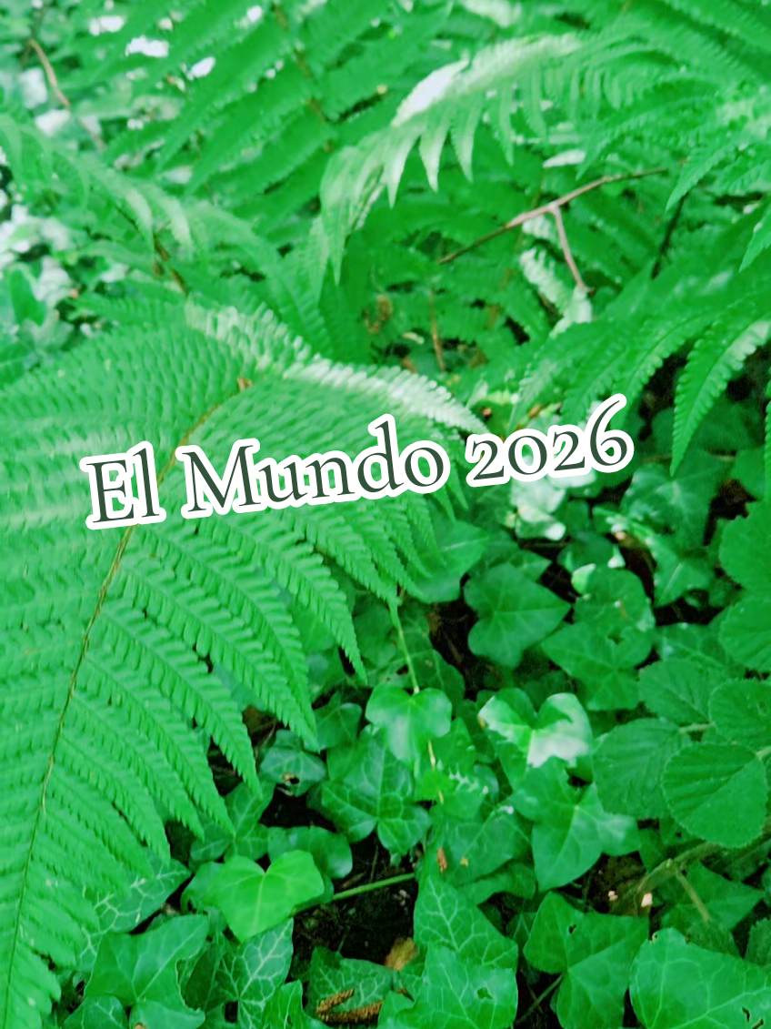 @ElementsOfValador