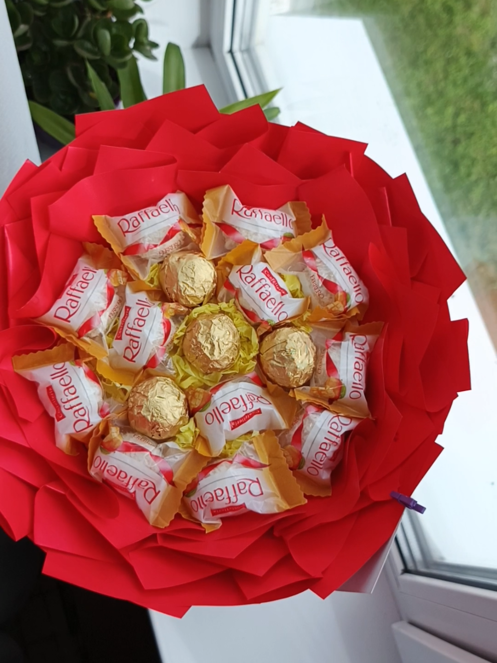 @Olechka_roses💐