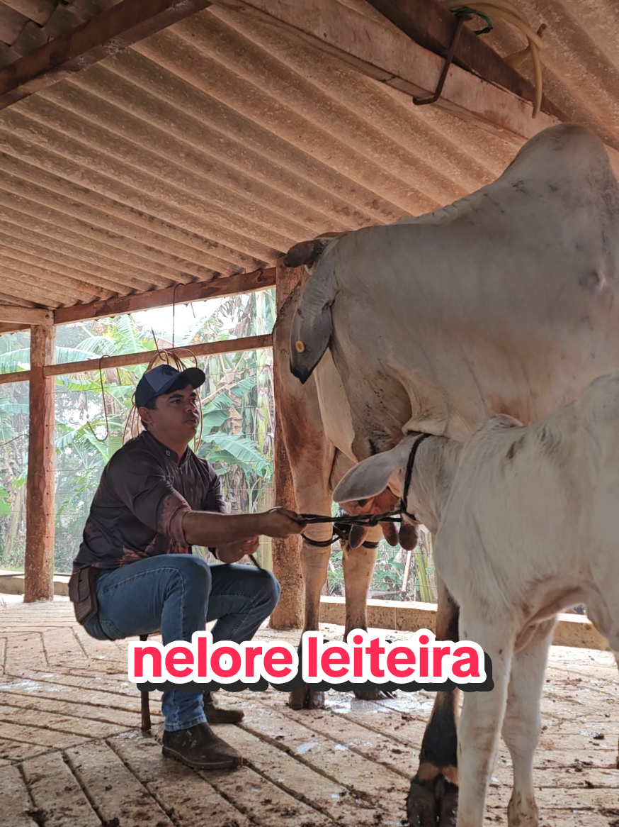 @Geovane neto
