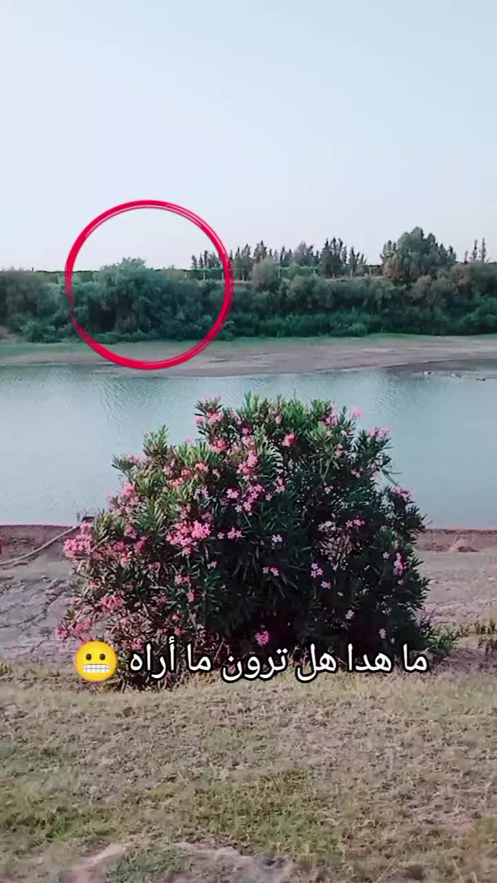 @(☝️الشيخ عبد العزيز ☝️)