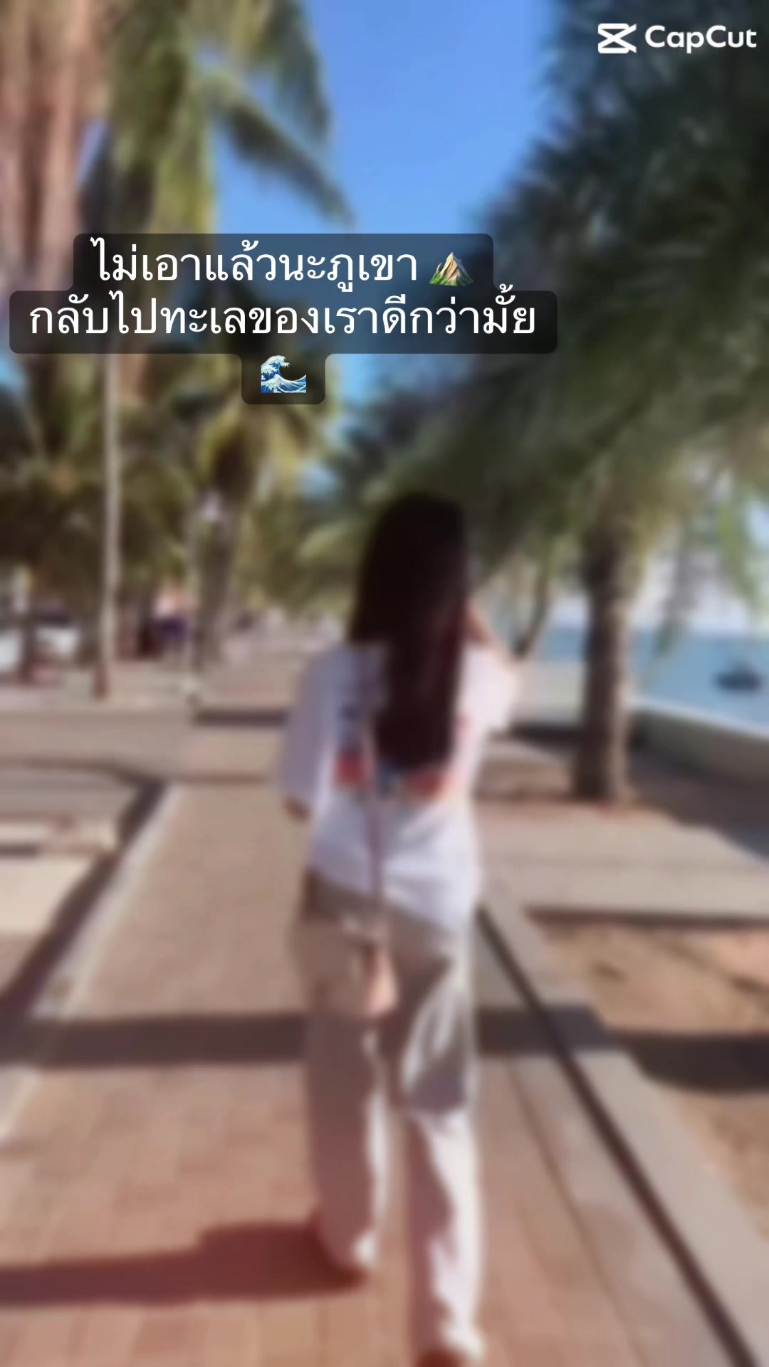 @🪼🌻