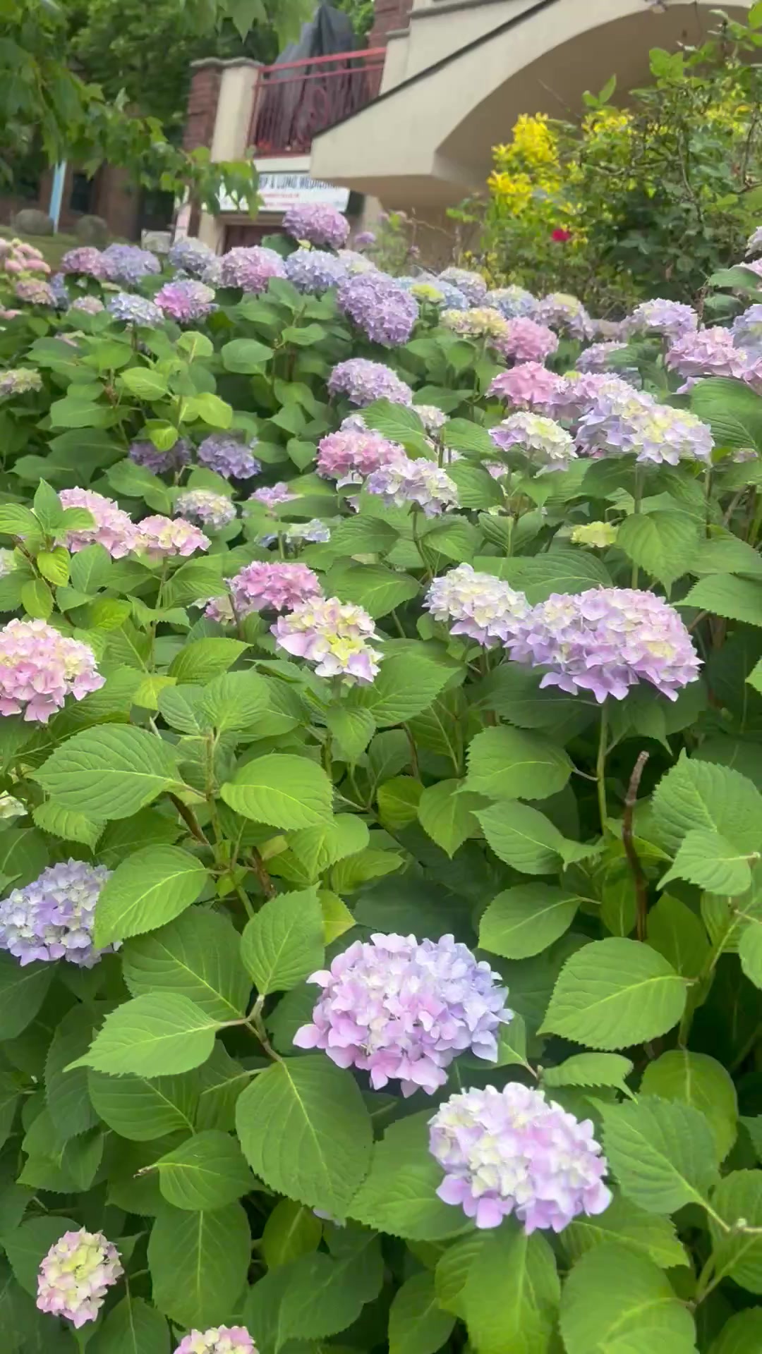 @user2276659238715