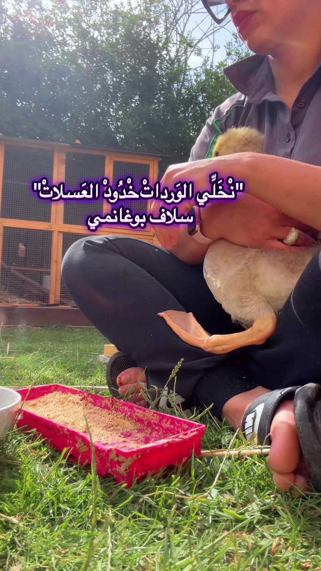 @Hanadi هنادي