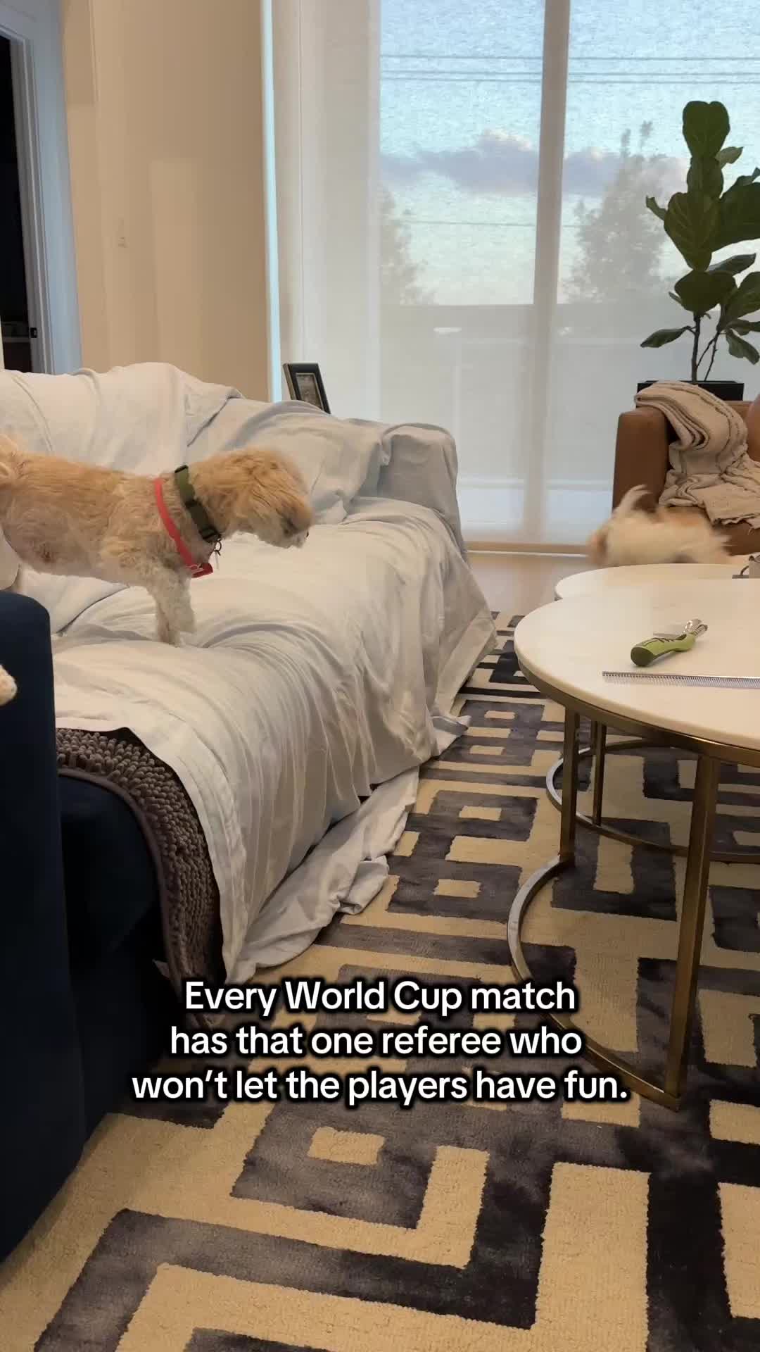 @Lily and Mom