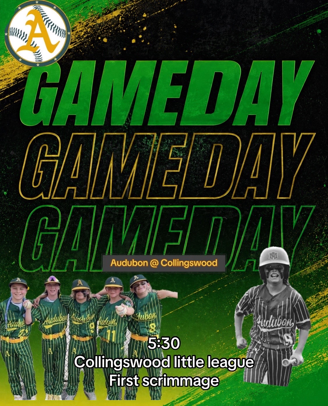 @AudubonMilitia13u