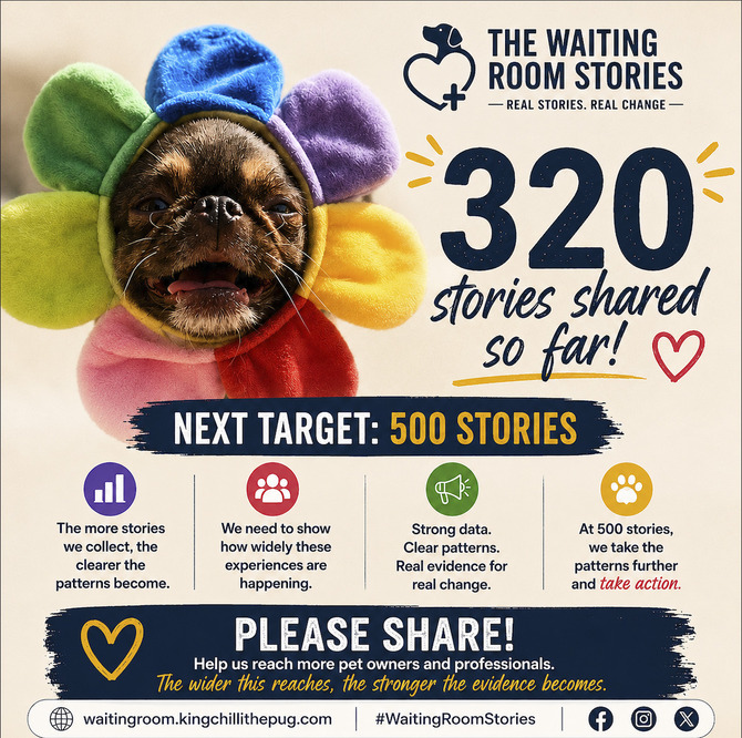 @ChilliThePug