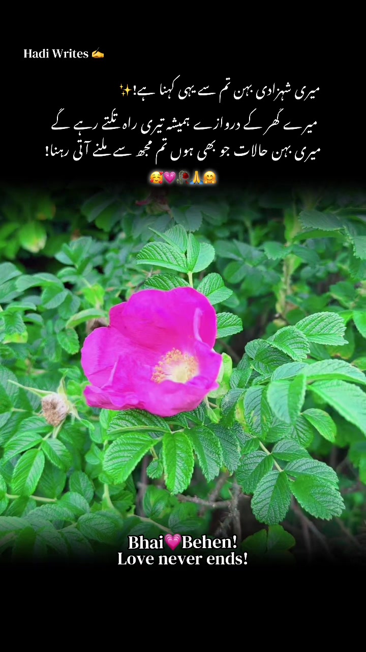 @Bhai Behen Quotes ✍️🥰🙏
