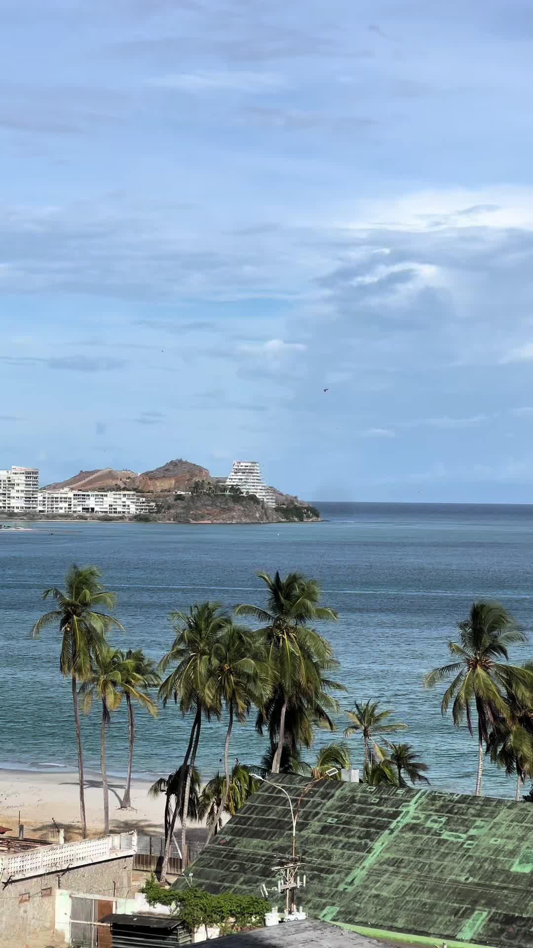 @rodolforamosvz