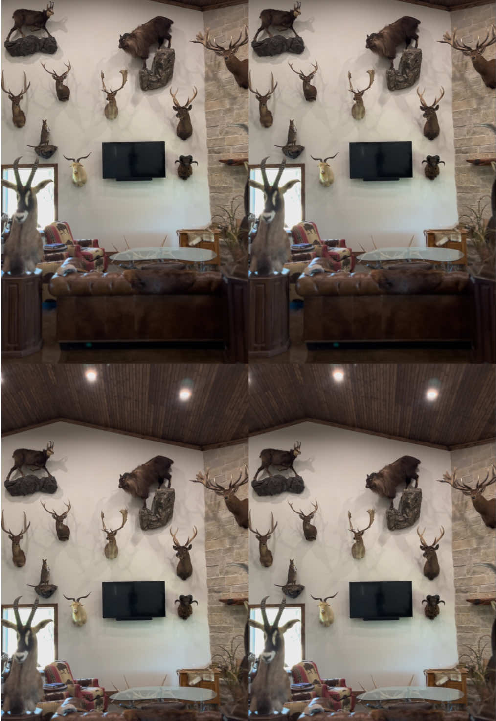 @Safari Studios