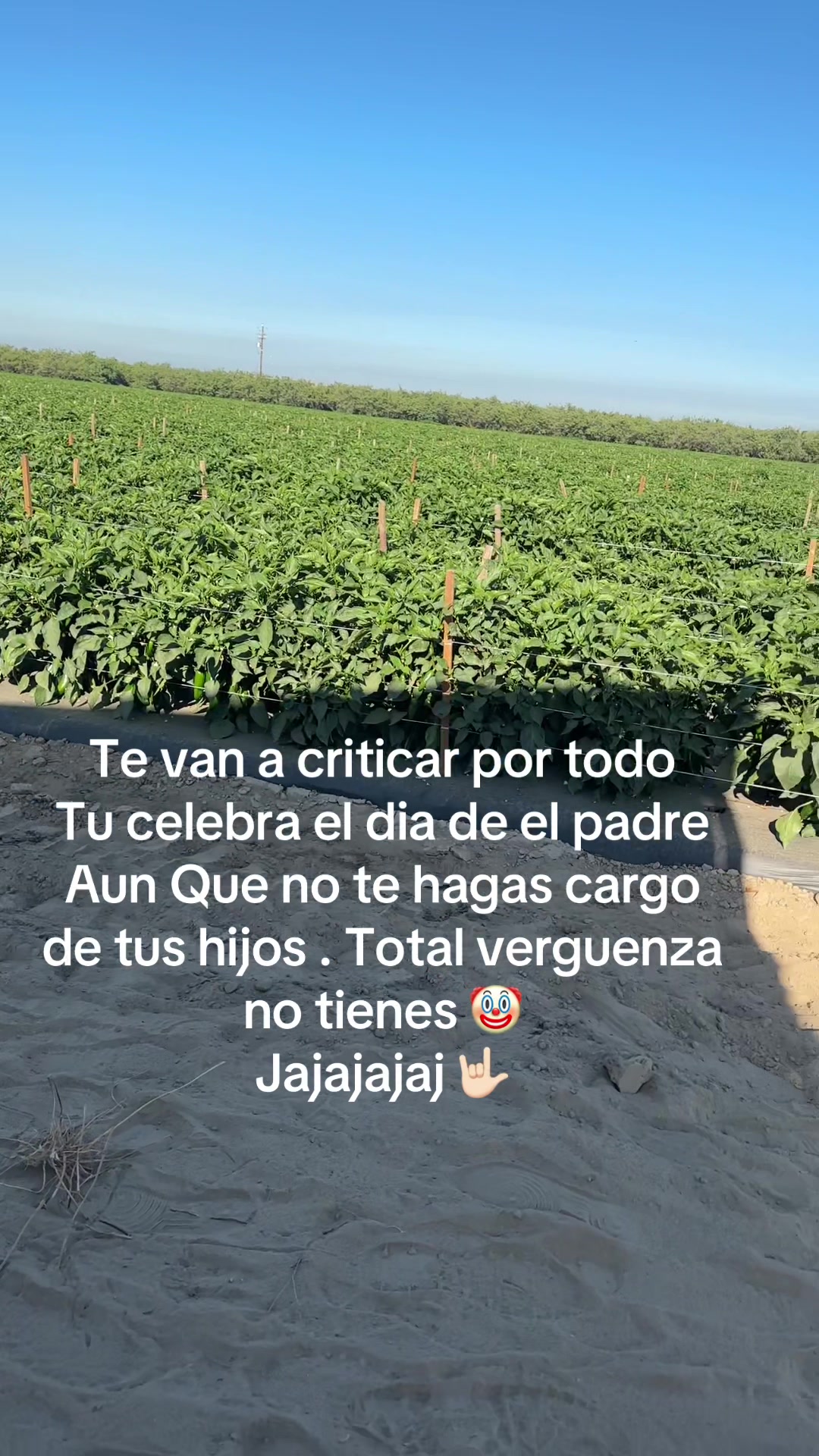 @Clau Santos