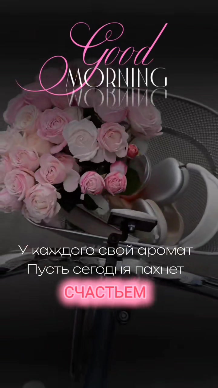 @☆꧁✬◦.𝒱.𝒮𝒽 .✬꧂☆