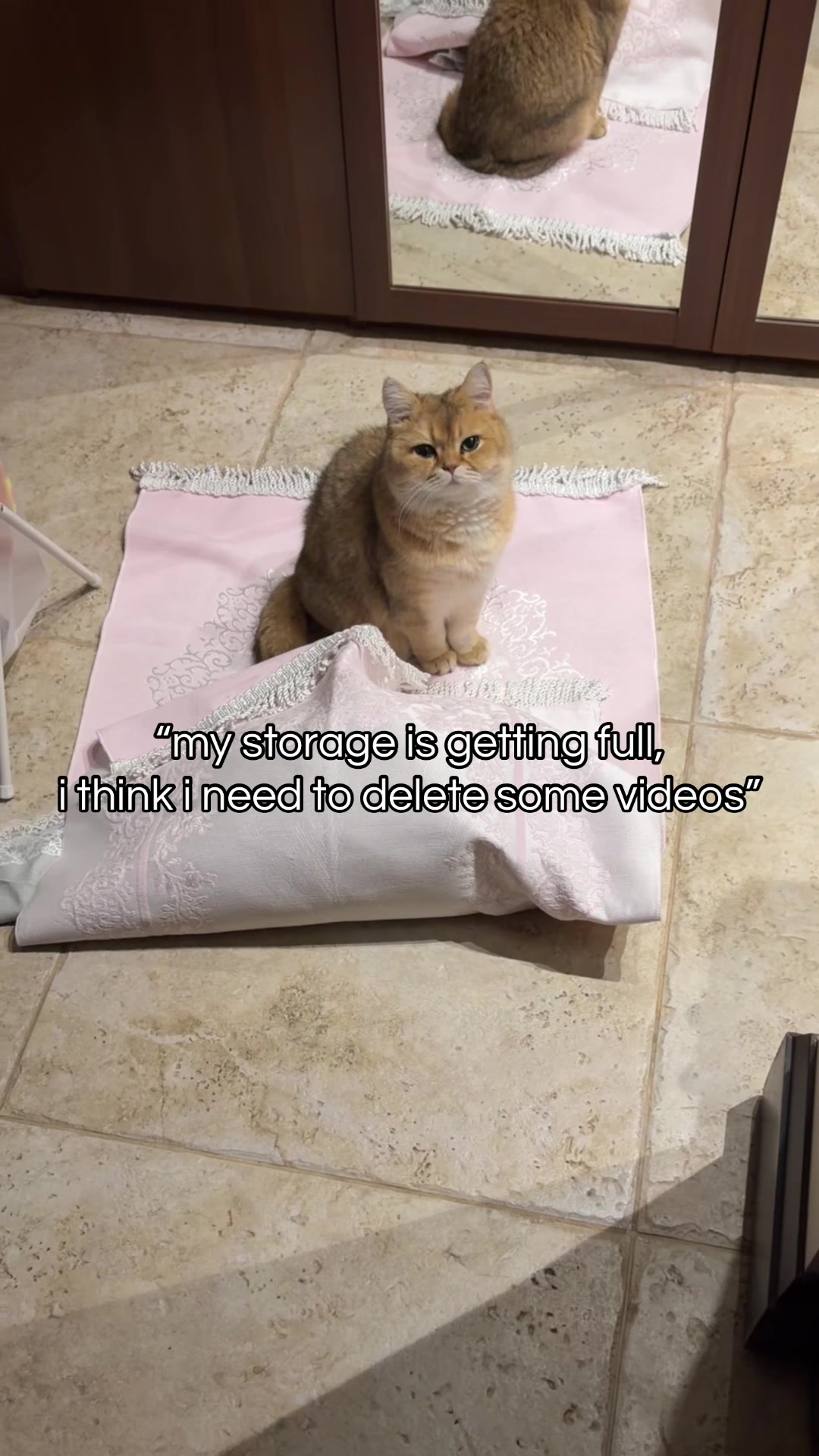 @Leo