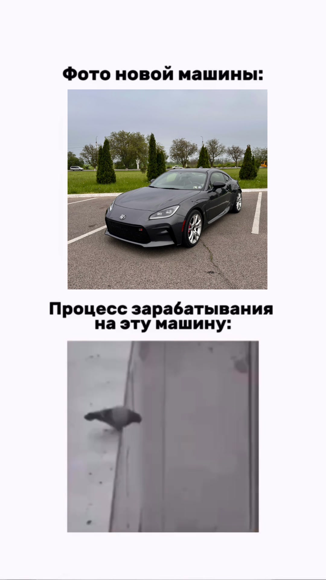 @pavement.86