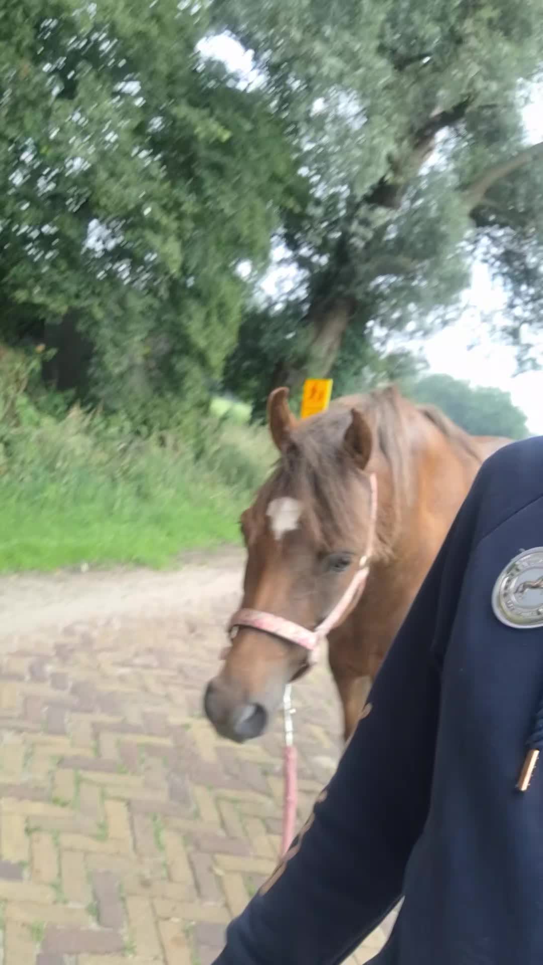 @horses.by.Britt:)