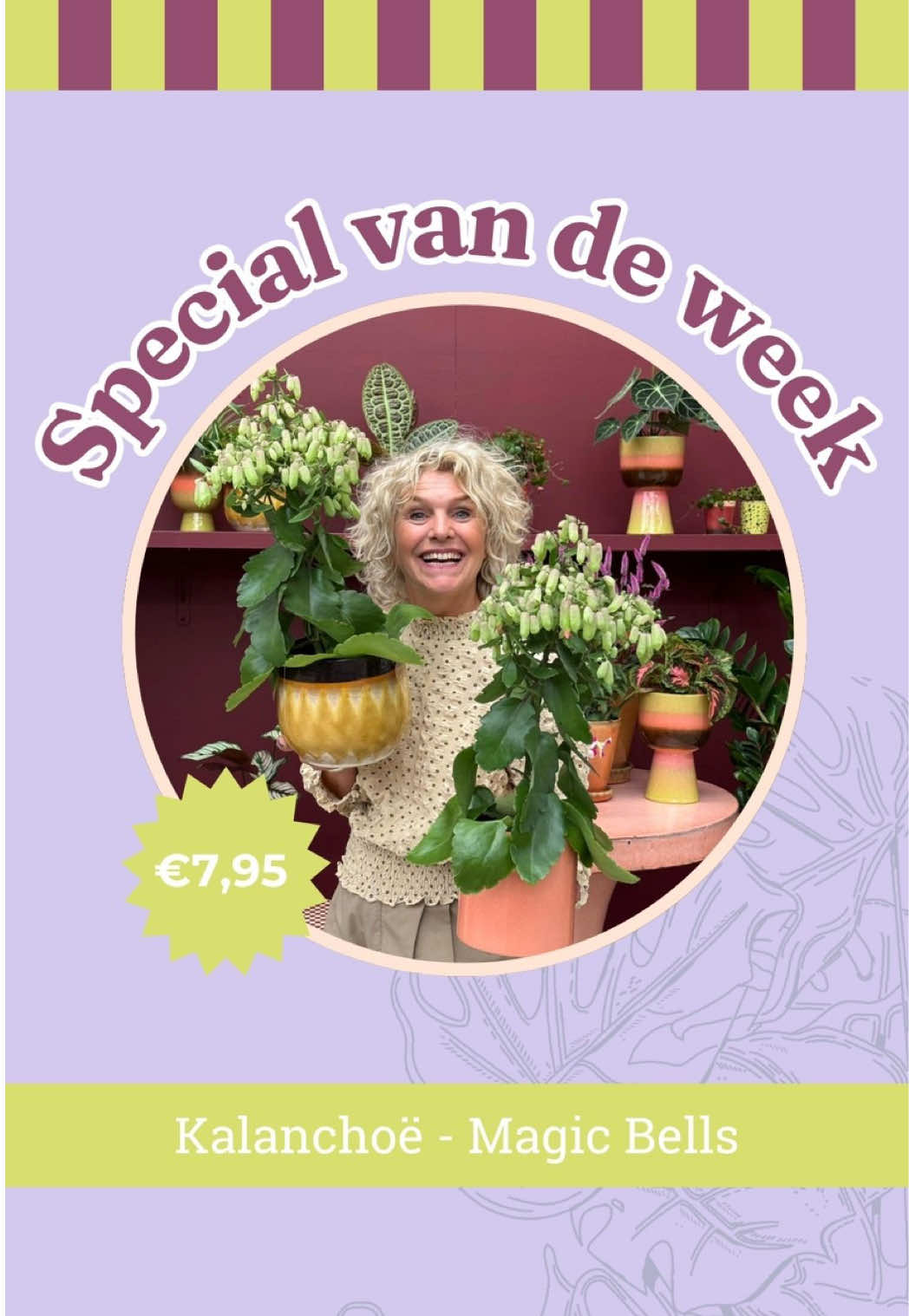 @Groenevingersdelft