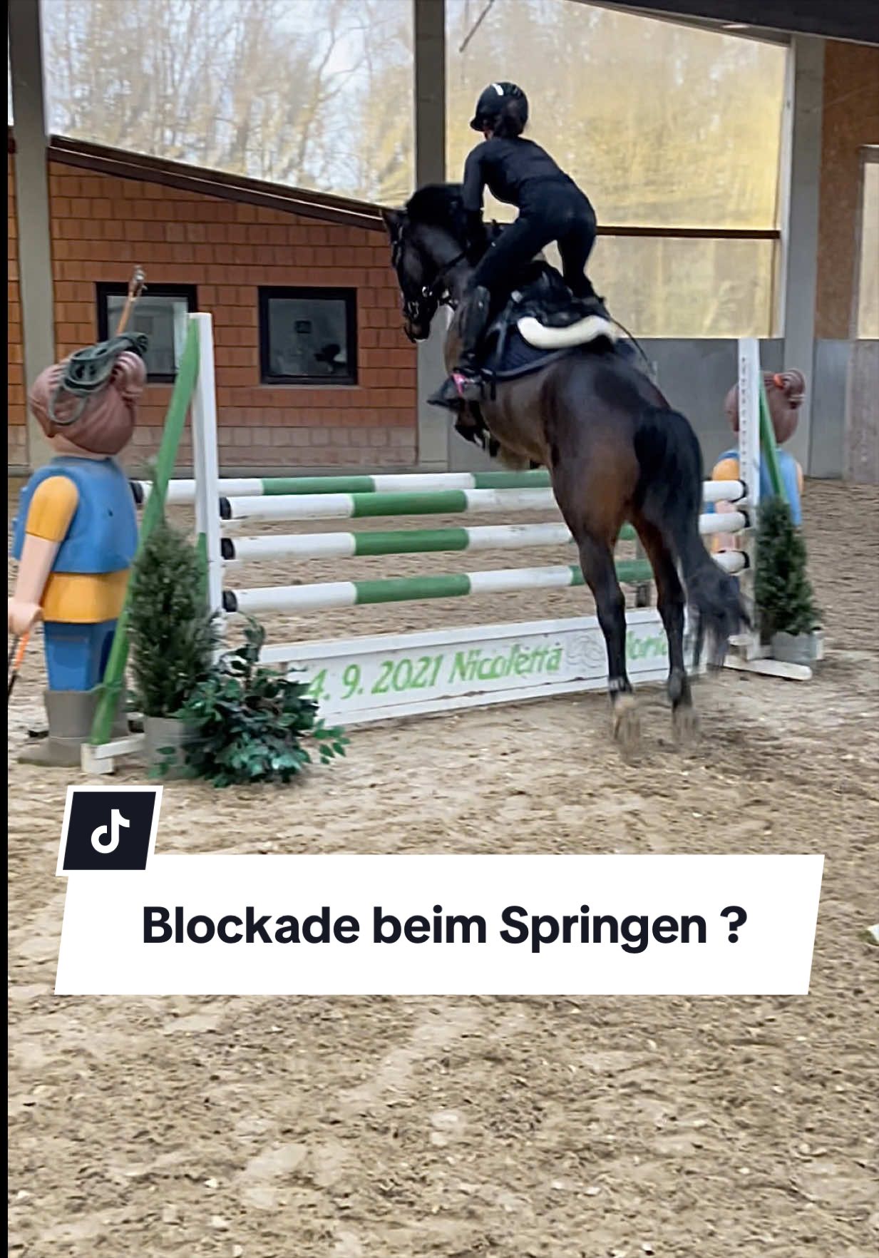 @Sophia &bull; SL Reitschule