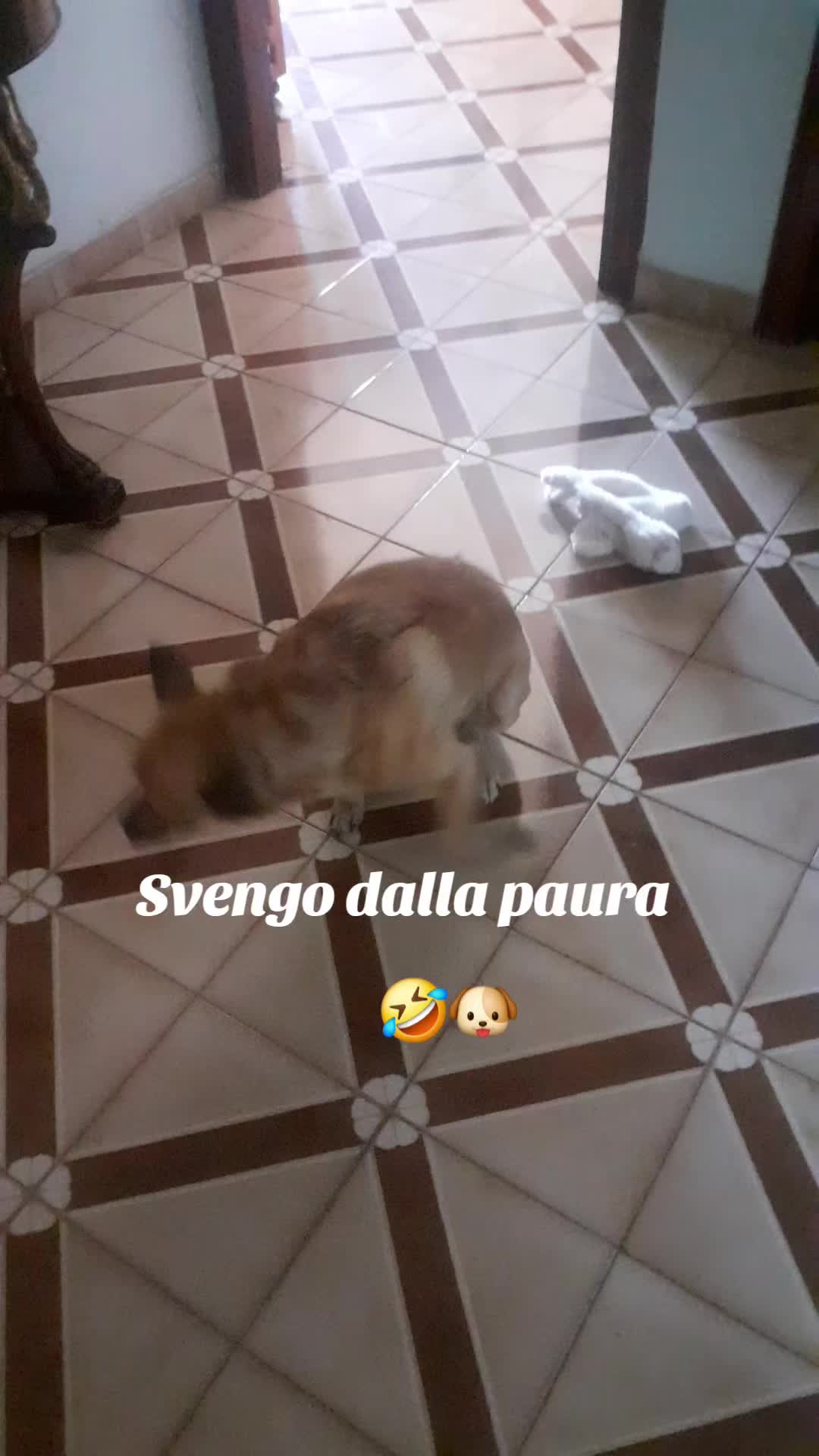 @Titti