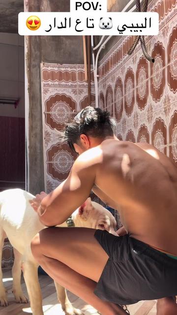 @Mohamed Derouiche