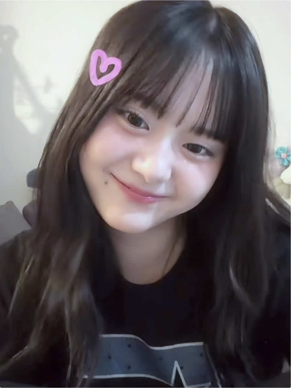 @ねこさん｡
