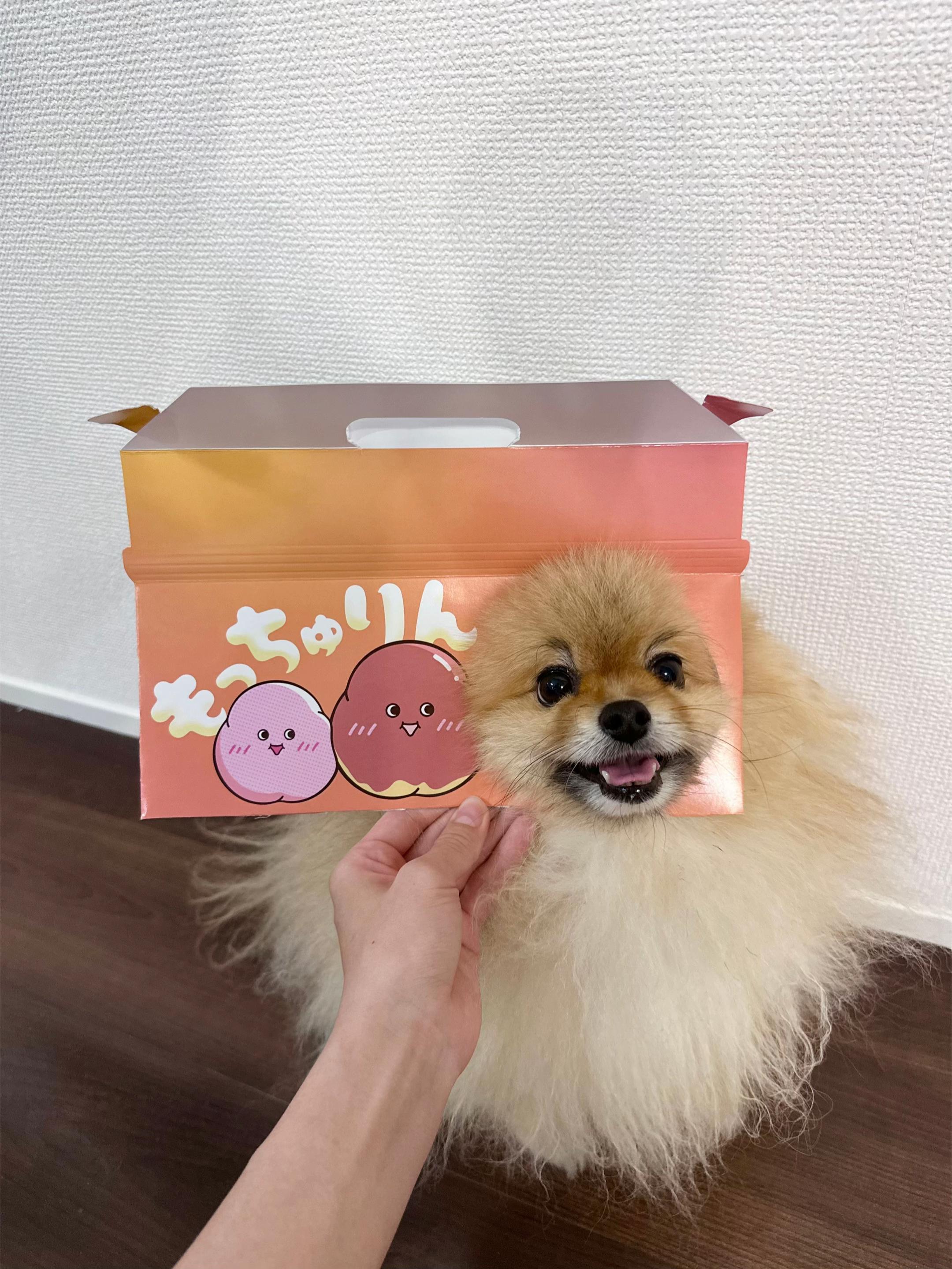 @チャック🐶