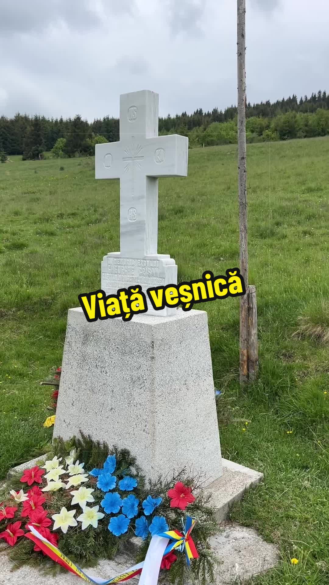@Petruța Andrei Nicolae