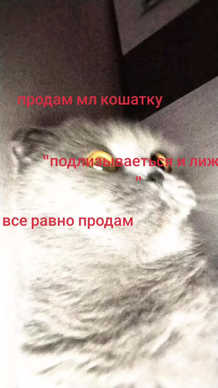 @угадай кто