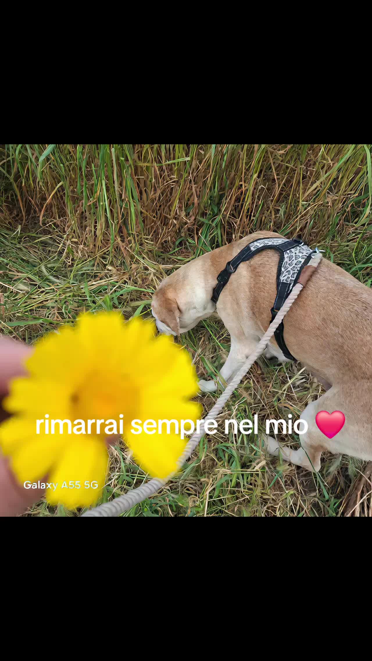 @marianna