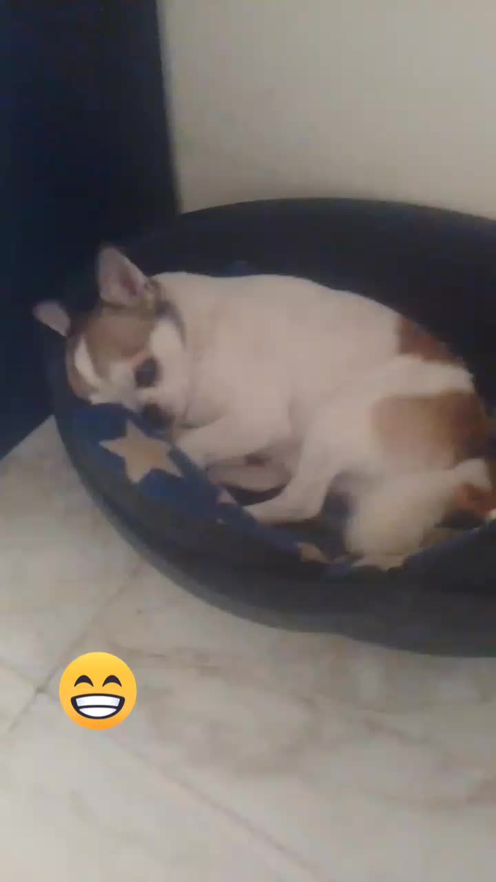 @Remilia Santelia