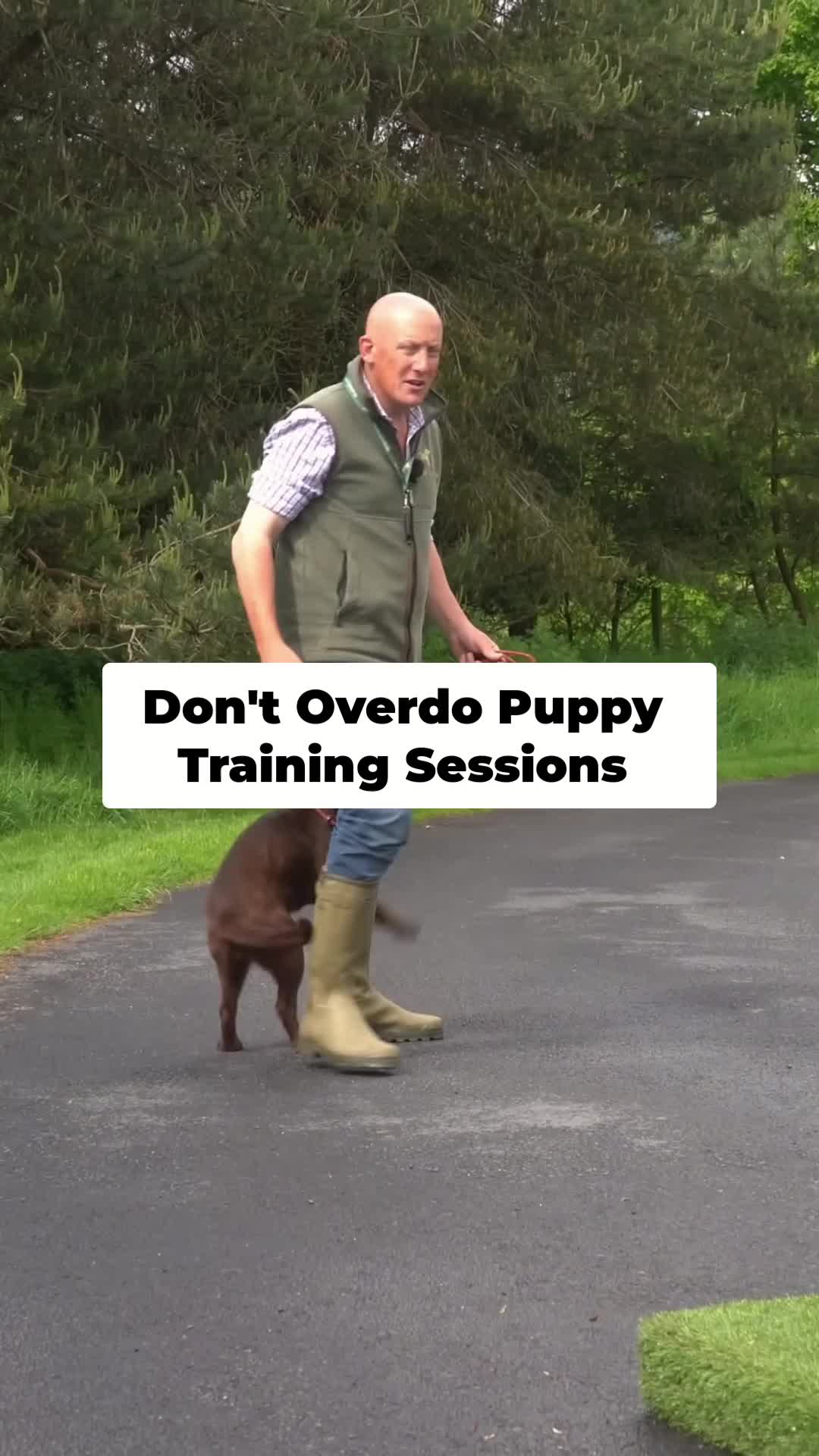 @Mordor Gundogs