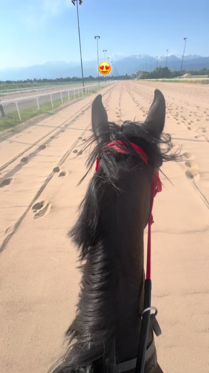 @🐎Ева🐎